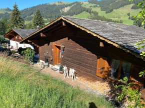 Chalet Sorgenfrei